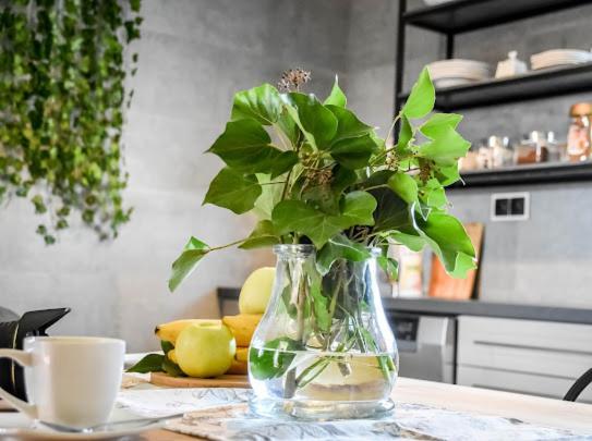 Atlas Chmur Apartament Biały Dunajec Exteriör bild