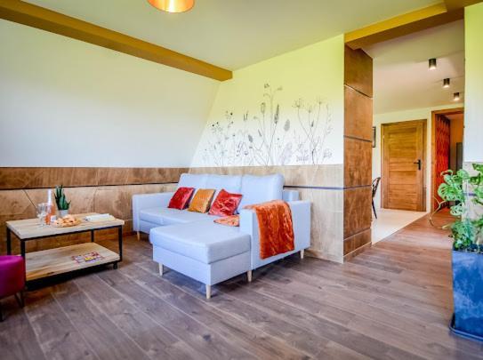 Atlas Chmur Apartament Biały Dunajec Exteriör bild
